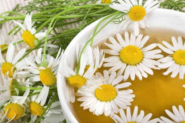 Chamomile decoction to increase potency