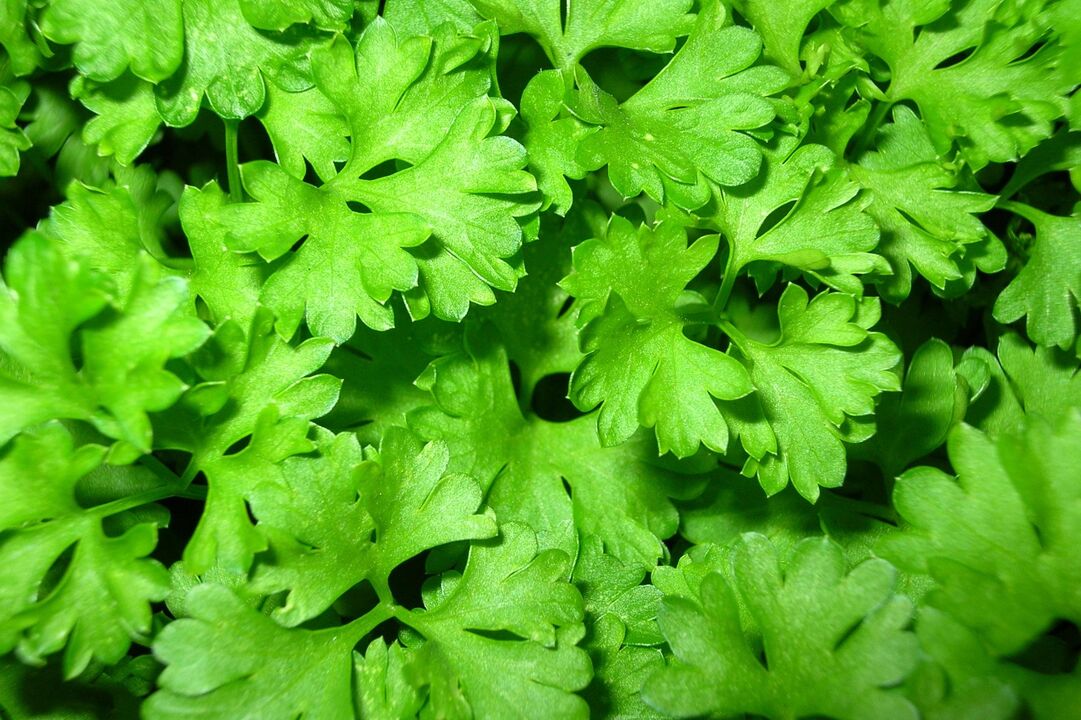 To increase the potential of parsley